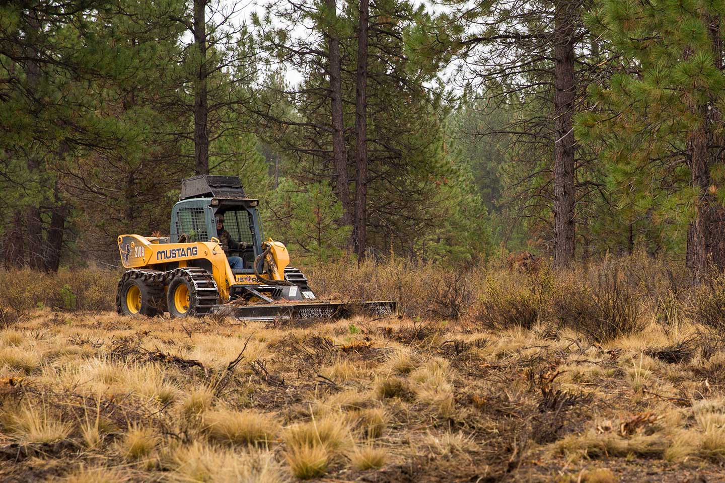 forestry contracting services central oregon