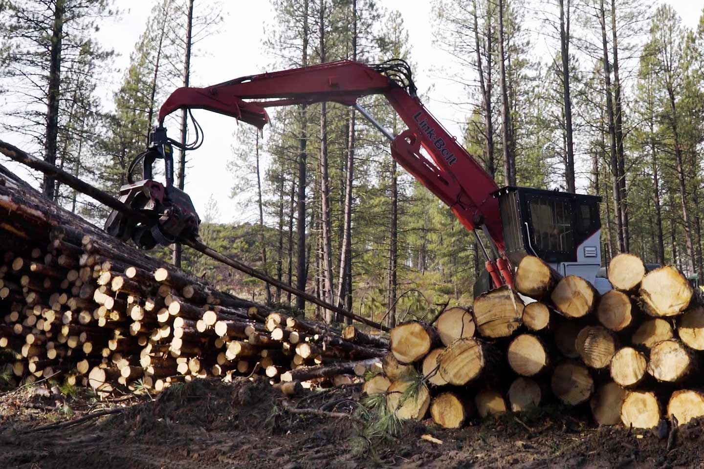 Selective timber harvesting outside of Bend, Oregon.